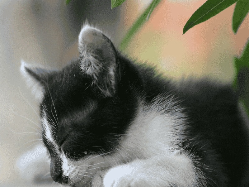 腹水胸水试管广东最好的试管机构北京试管补助政策